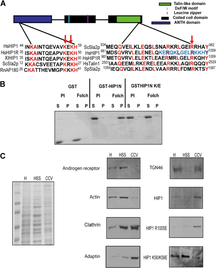 Figure 6.