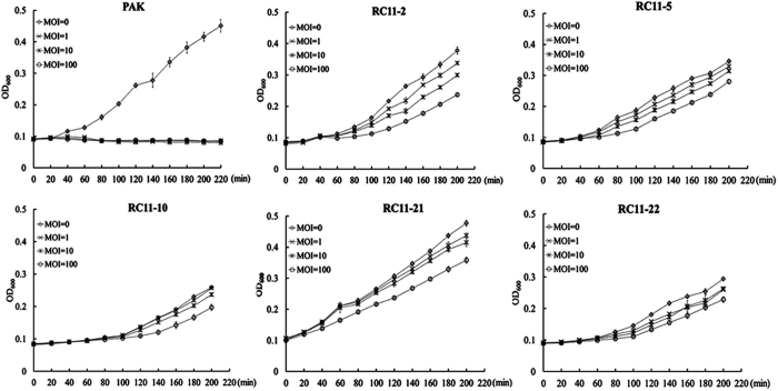 Figure 5