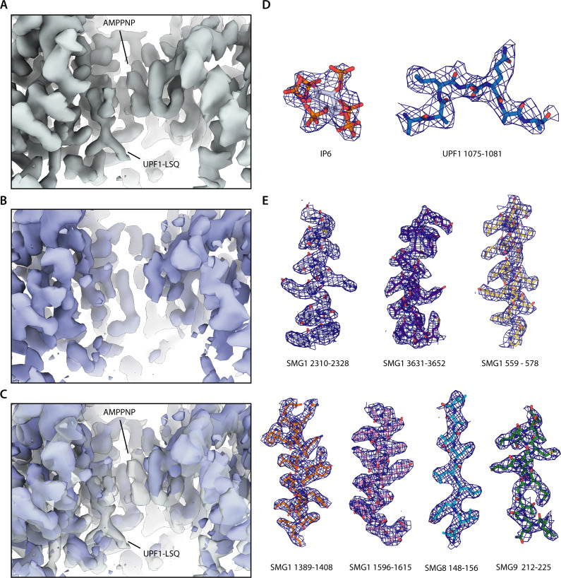 Figure 1—figure supplement 5.