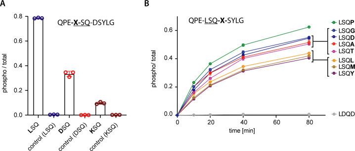 Figure 4—figure supplement 1.