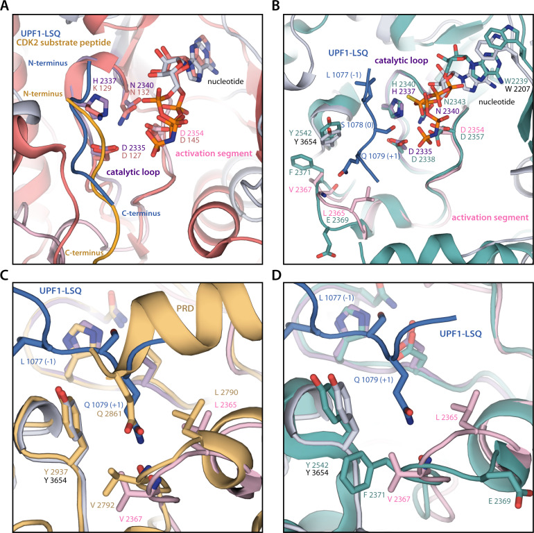 Figure 2—figure supplement 1.