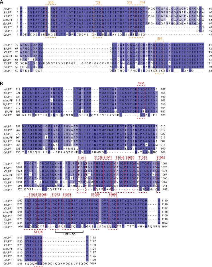 Figure 4—figure supplement 2.