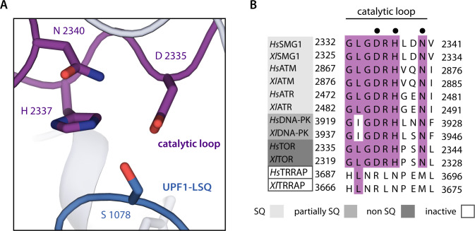 Figure 2—figure supplement 2.