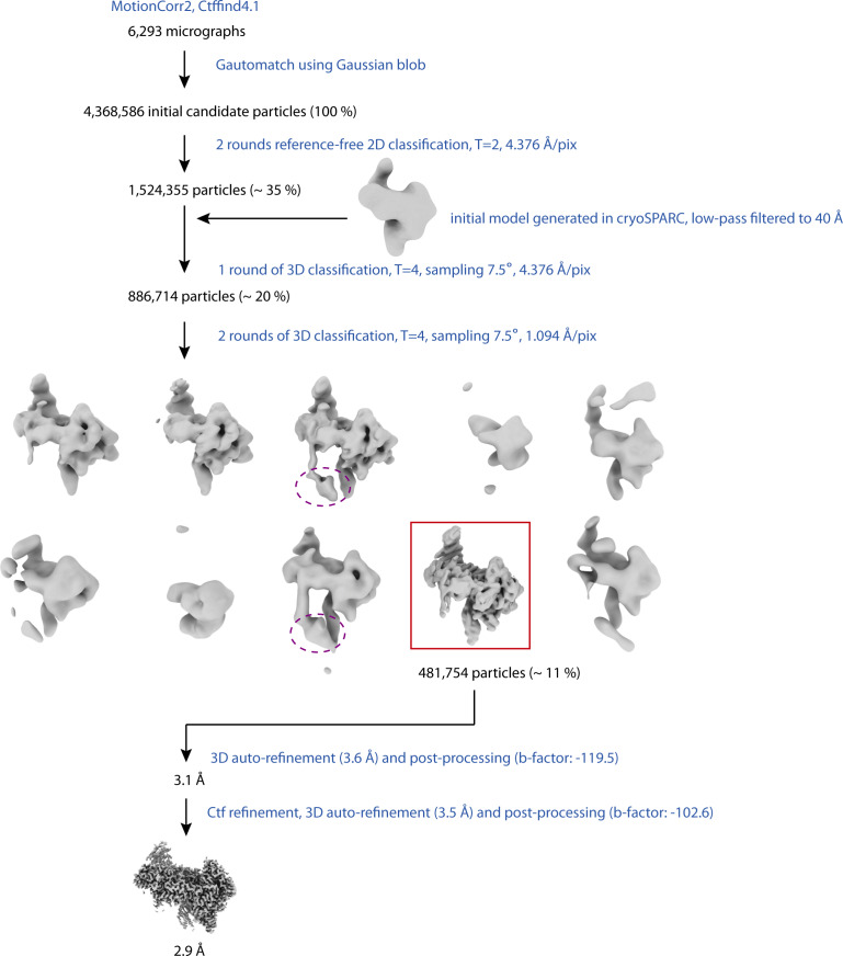 Figure 1—figure supplement 3.