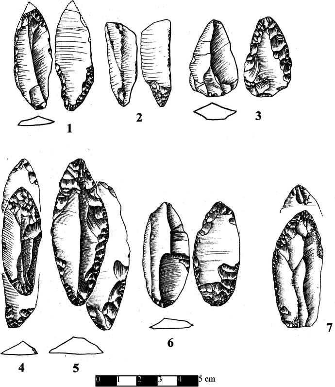 Fig. 9