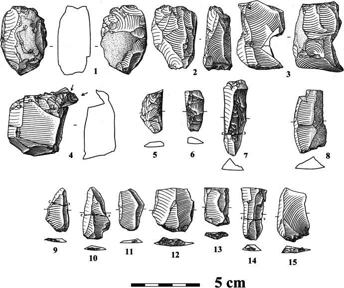 Fig. 13