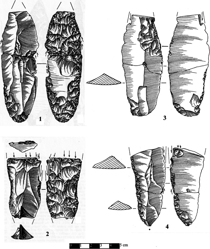 Fig. 5