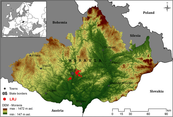 Fig. 11