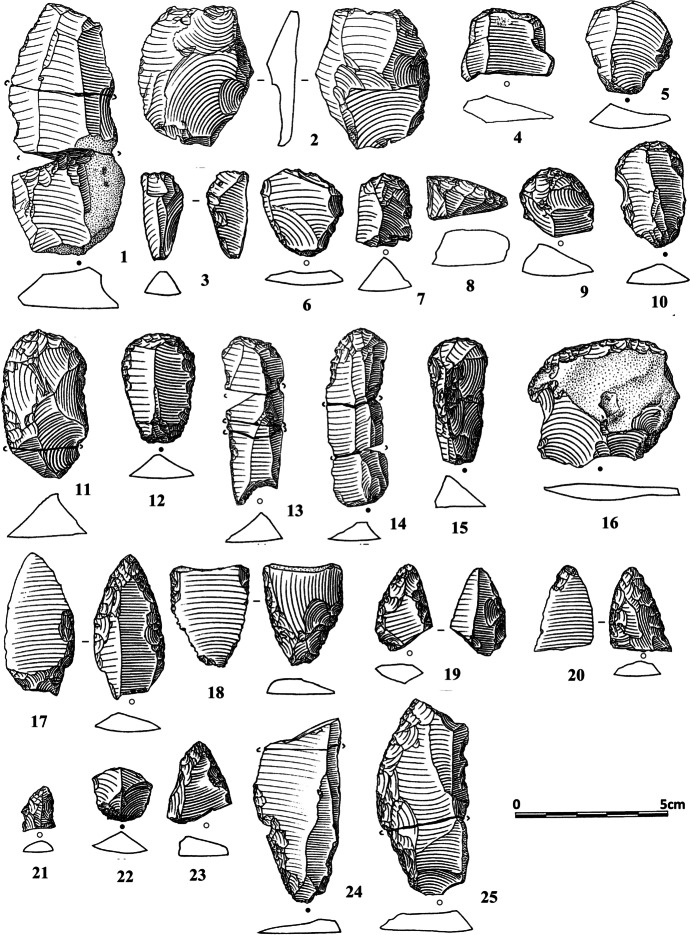 Fig. 12