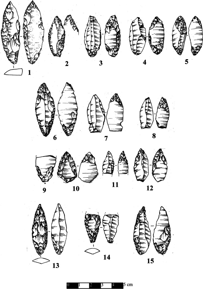 Fig. 10