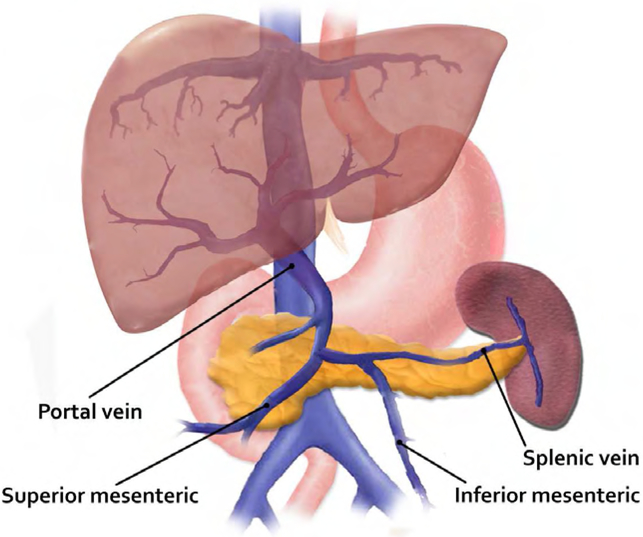 Fig 1.