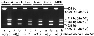 FIG. 3