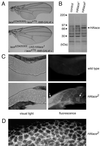 FIG. 6