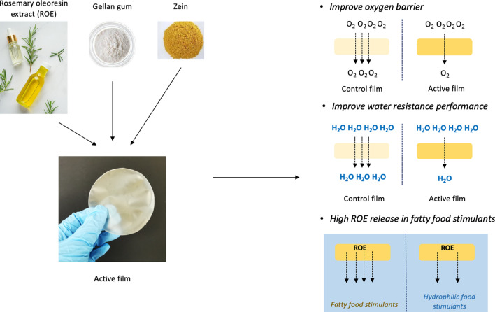 graphic file with name 13197_2023_5826_Figa_HTML.jpg