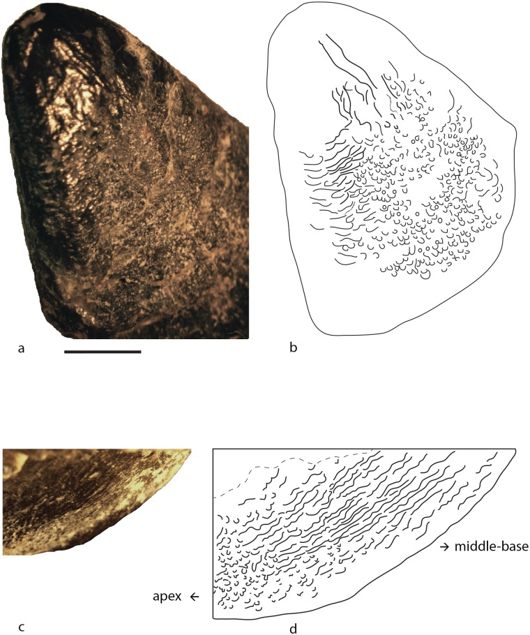 Fig 5