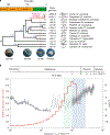 Fig. 2 |