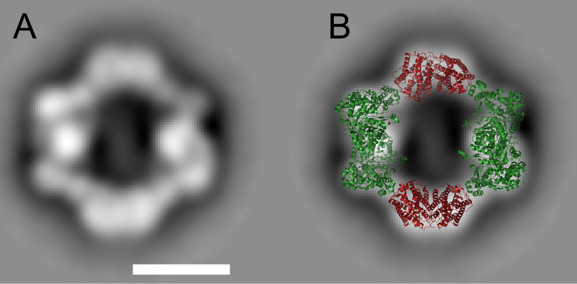 Figure 5.