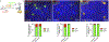 Extended Data Fig. 1