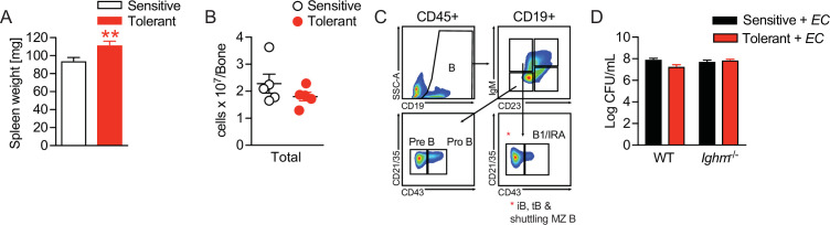 Figure 3—figure supplement 1.