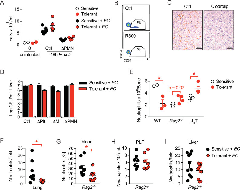 Figure 4—figure supplement 1.