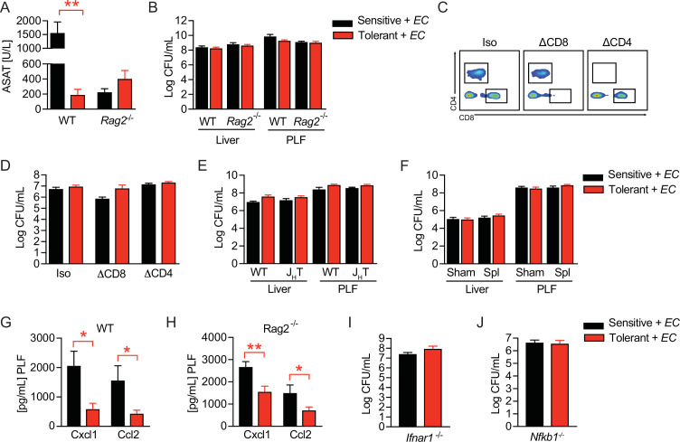 Figure 2—figure supplement 1.