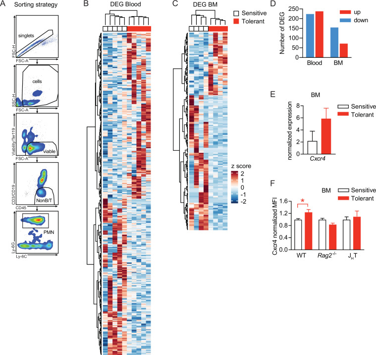 Figure 5—figure supplement 1.