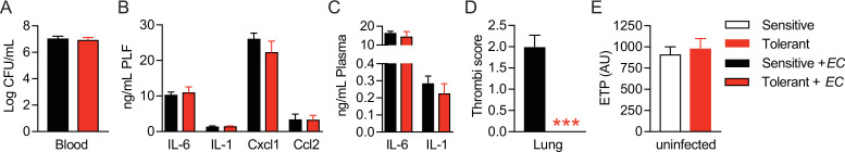 Figure 1—figure supplement 1.