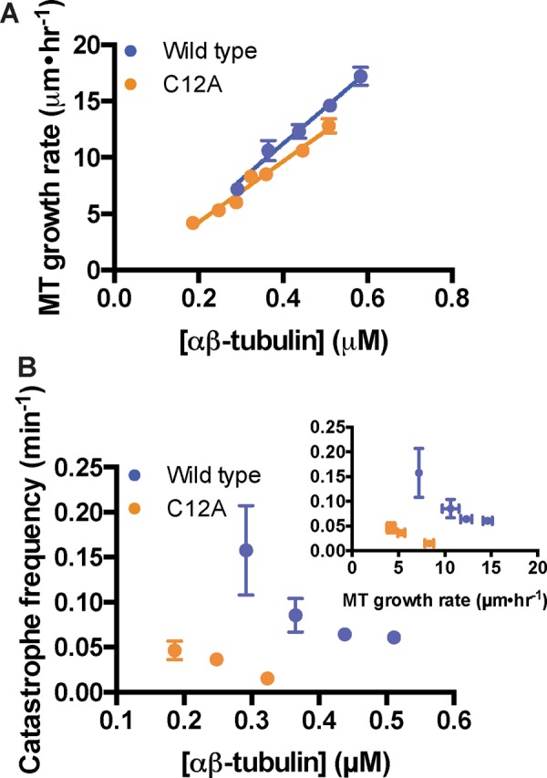 FIGURE 5: