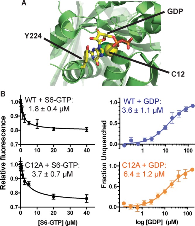 FIGURE 4: