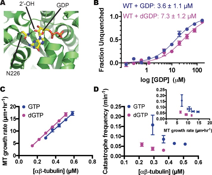 FIGURE 6: