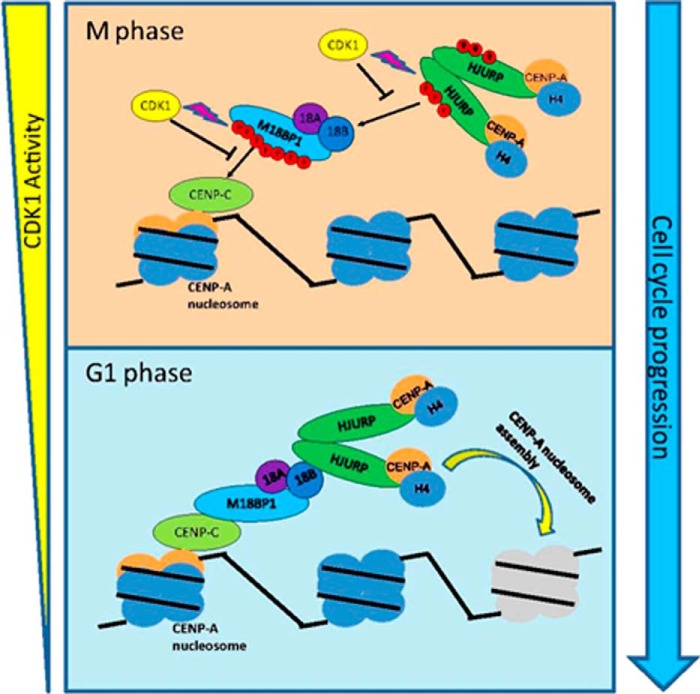 FIGURE 6.