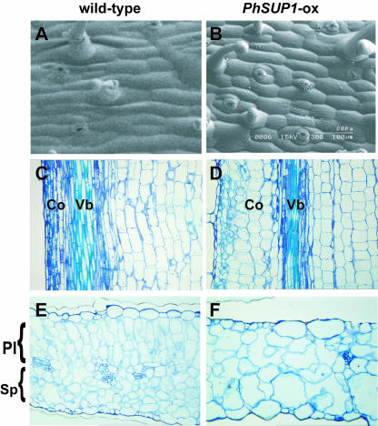 Figure 9.