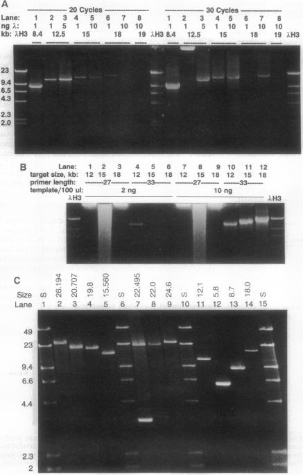 graphic file with name pnas01128-0246-a.jpg