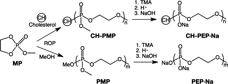 Scheme 1