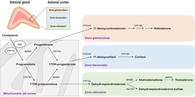 Figure 3.