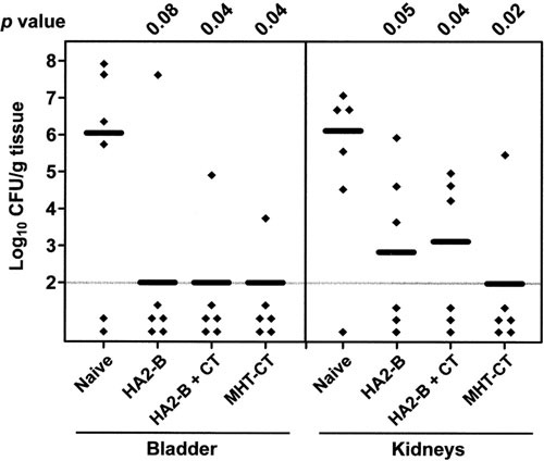 Figure 36