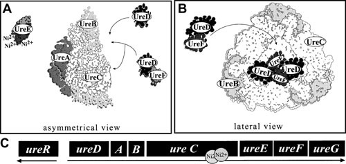 Figure 16