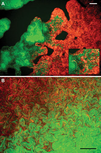 Figure 18