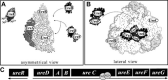 Figure 16