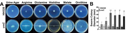 Figure 33