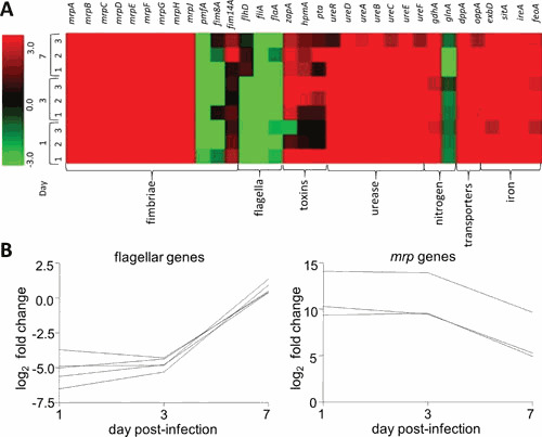 Figure 13