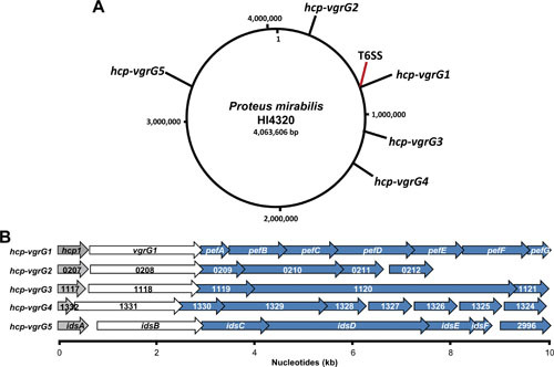 Figure 19