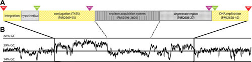 Figure 22