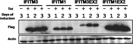 FIG. 9.