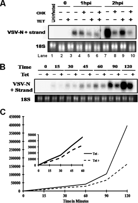 FIG. 7.