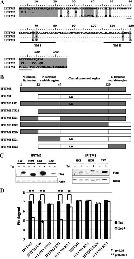 FIG. 8.