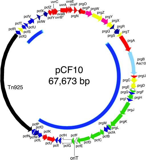 FIG. 1.