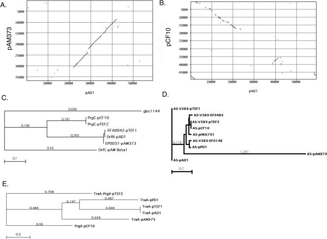 FIG. 2.