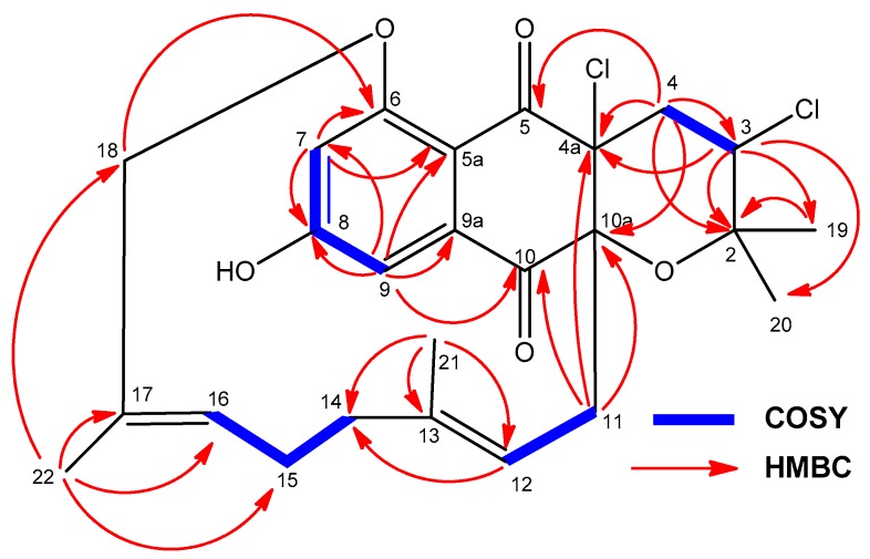 Figure 8