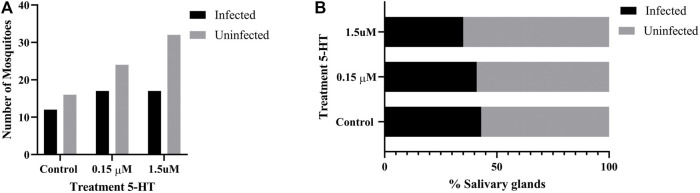 FIGURE 11